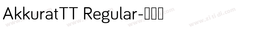 AkkuratTT Regular字体转换